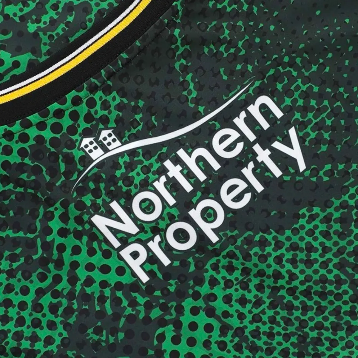 Antrim GAA 2026 Alternative Jersey in black, green, amber view 3